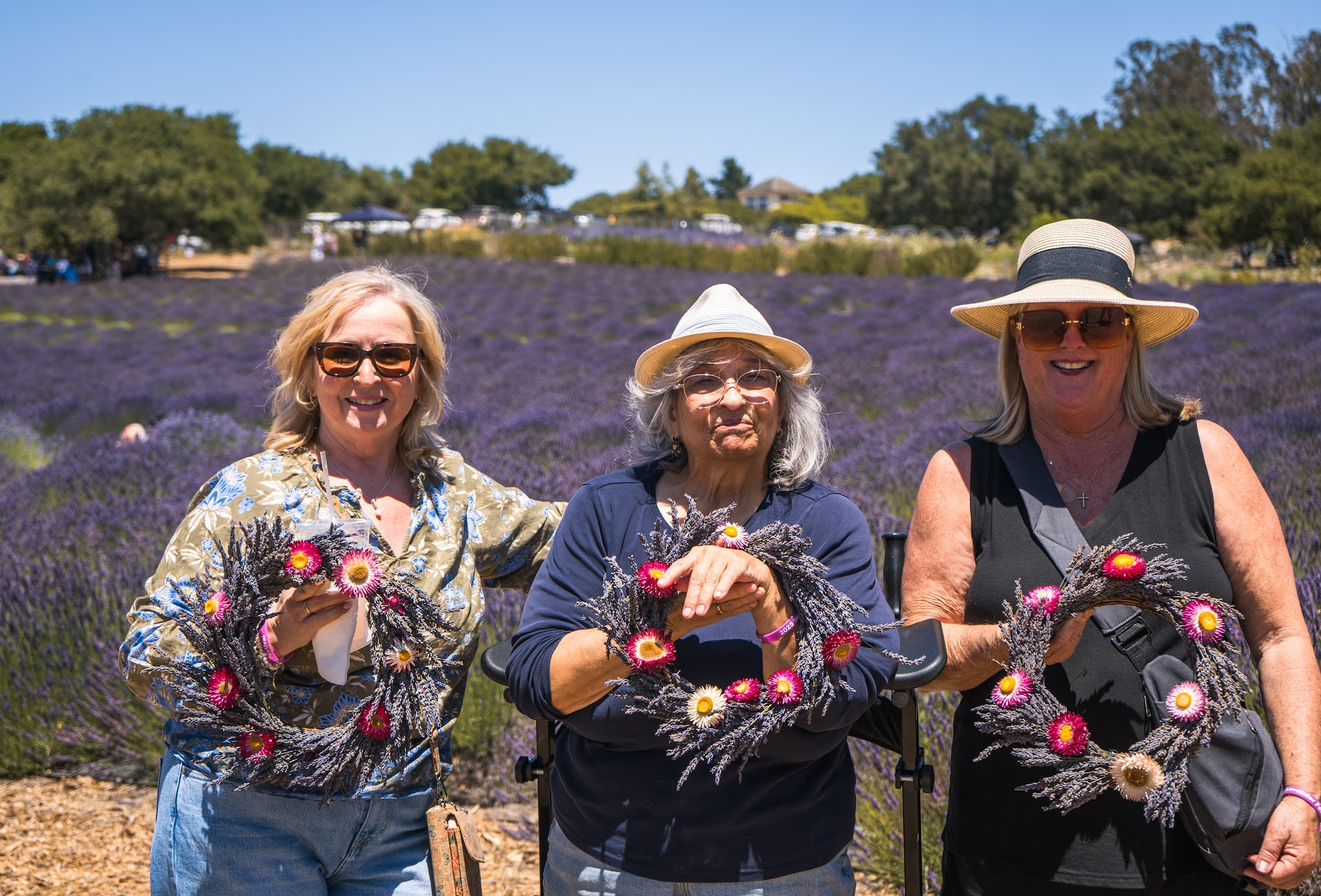 Santa Rita Hills Lavender Farm